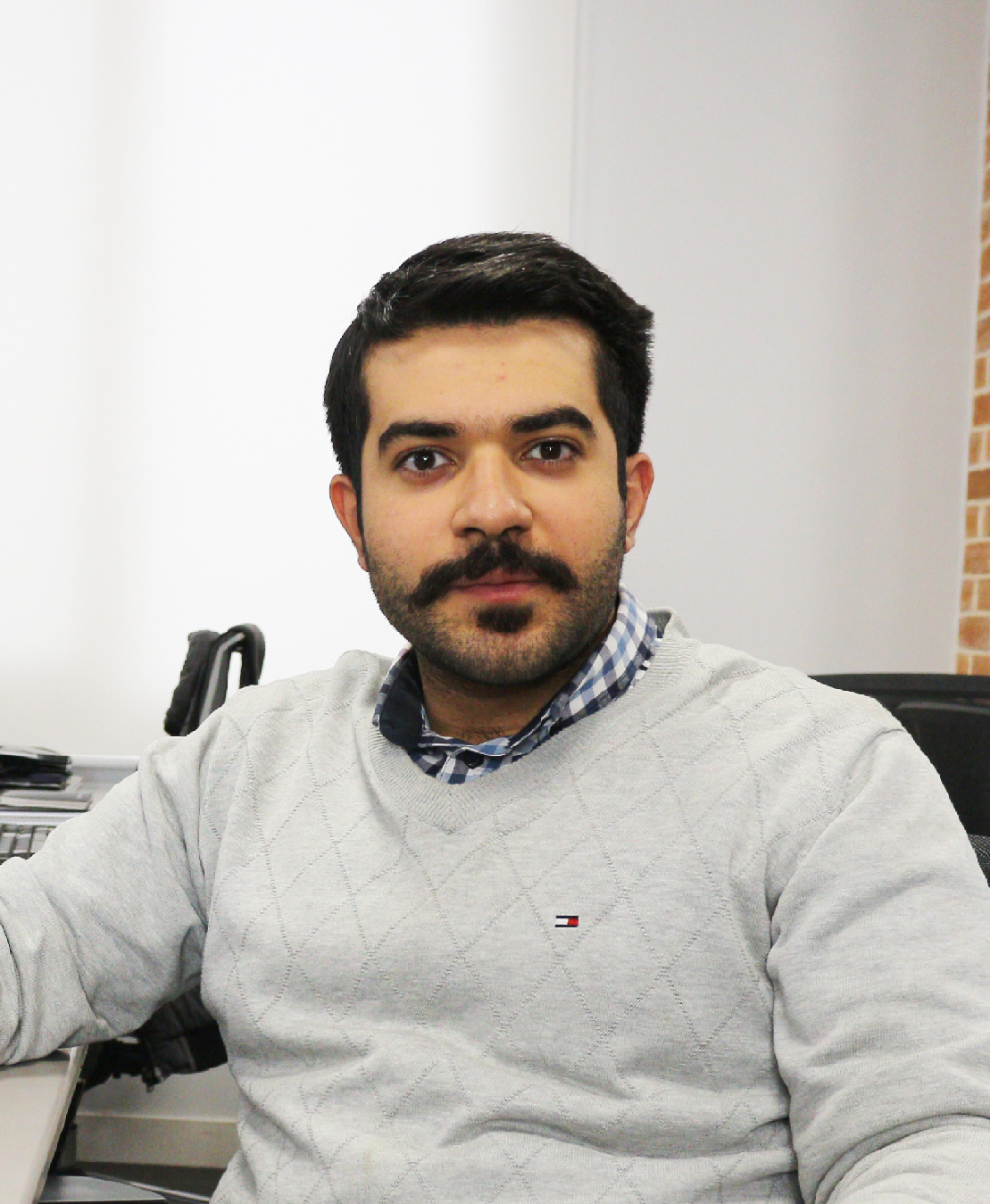 Hossein Aghahosseini Software Architect at Web Developement Company